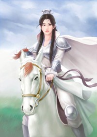 流星武神(合作)